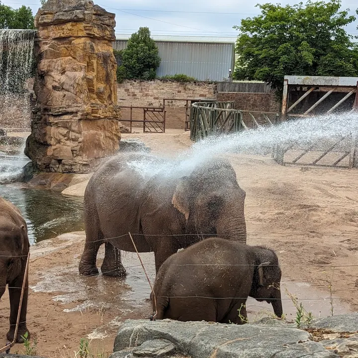 Chester Zoo