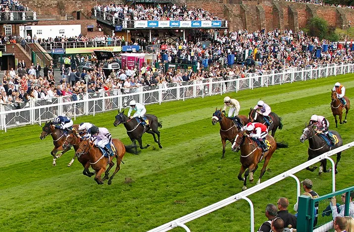 Photo of Chester Racecourse in Chester from Google Places 3