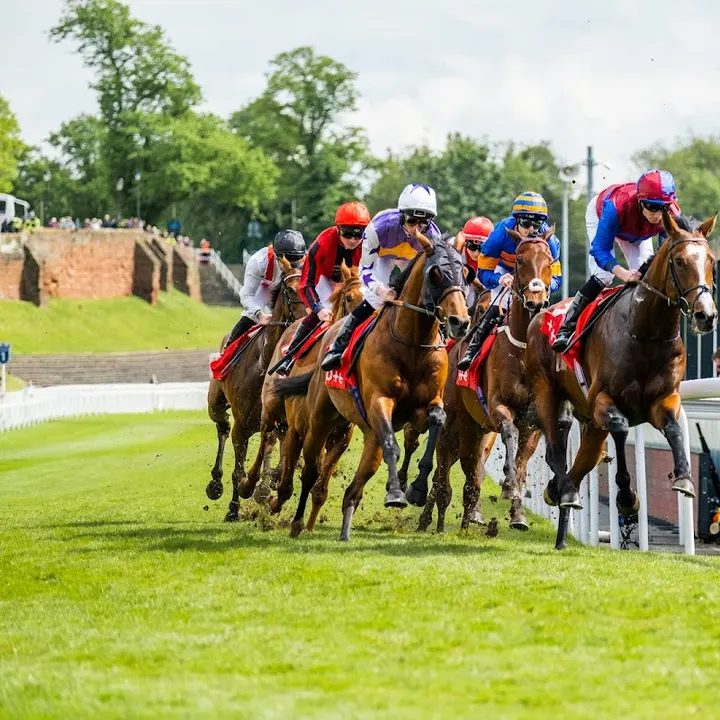 Photo of Chester Racecourse in Chester from Google Places 1