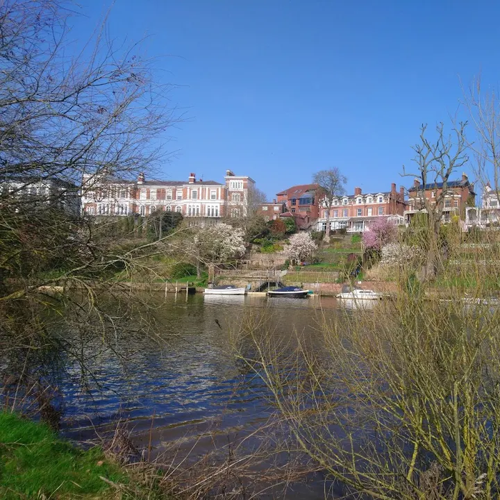 Chester Meadows