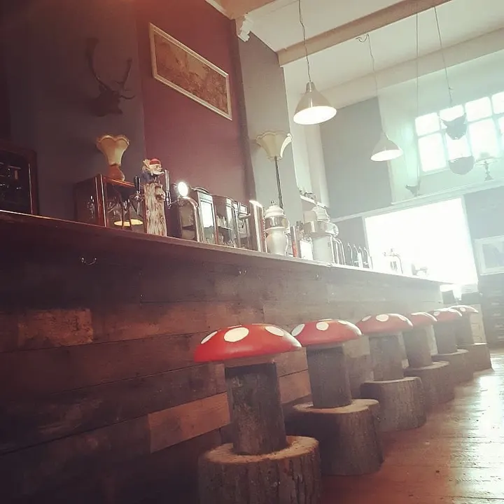 Photo of The Cavern of the Curious Gnome in Chester from Google Places 1