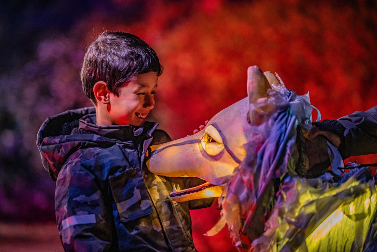 Lanterns and Light at Chester Zoo artwork