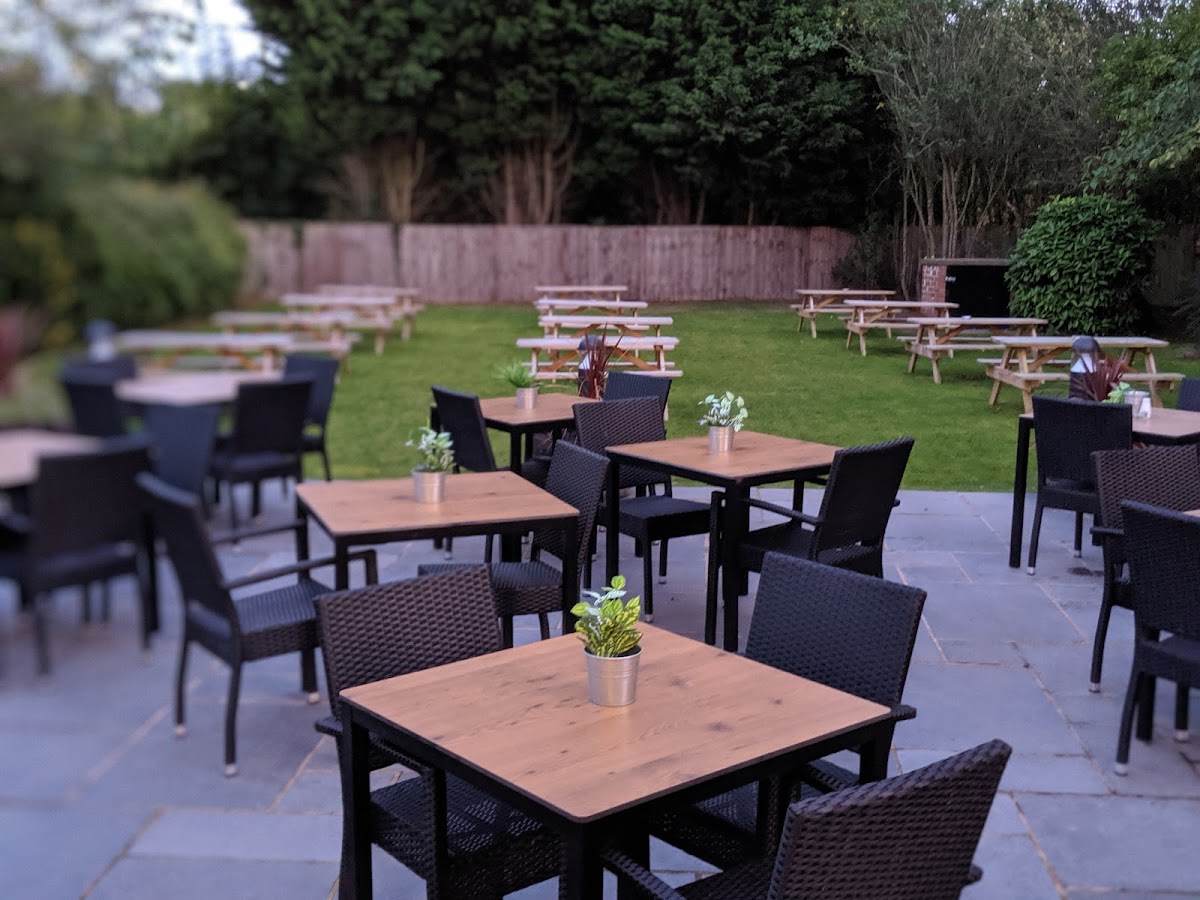 Pesto at the Yacht Google photo 1