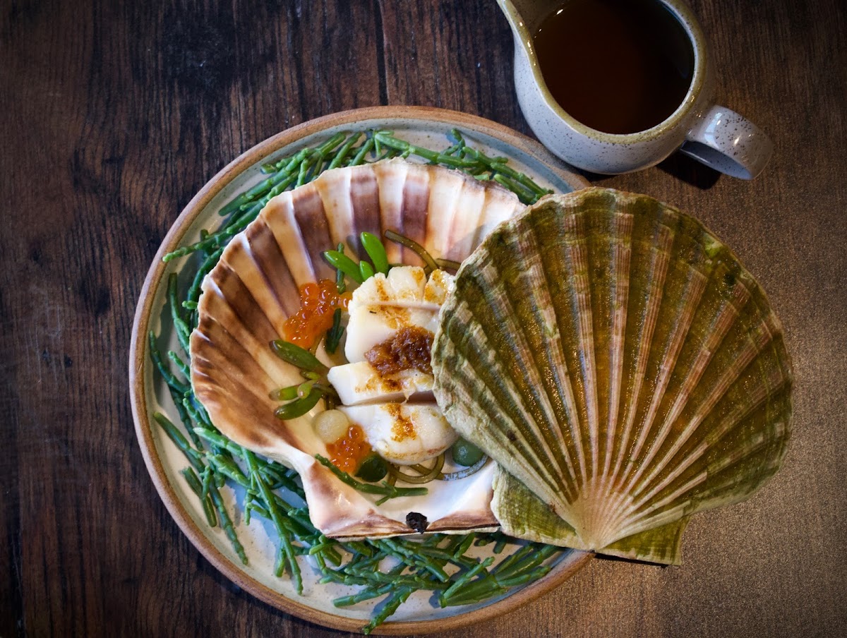 The Forge Google photo 2