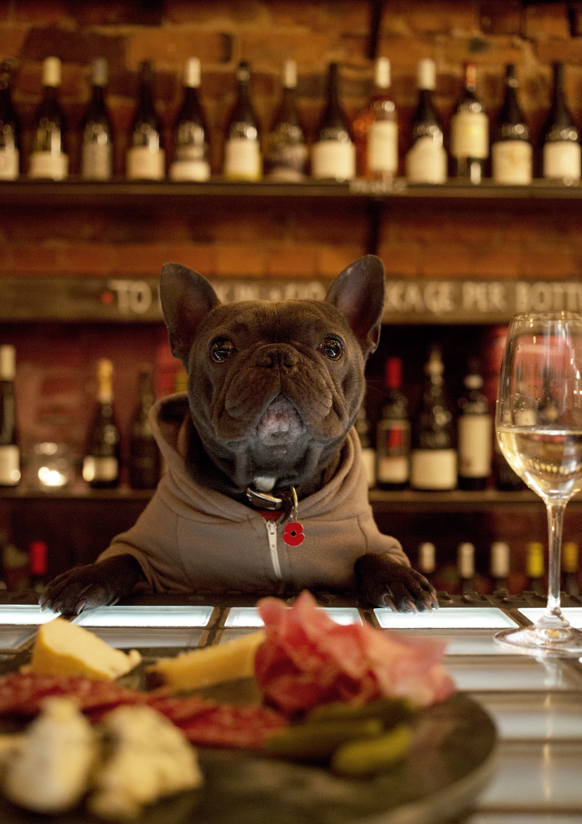 Covino Google photo 2