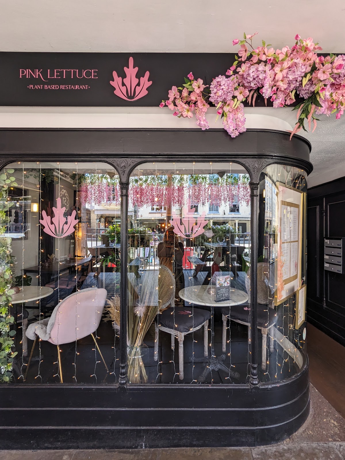 Pink Lettuce Google photo 1