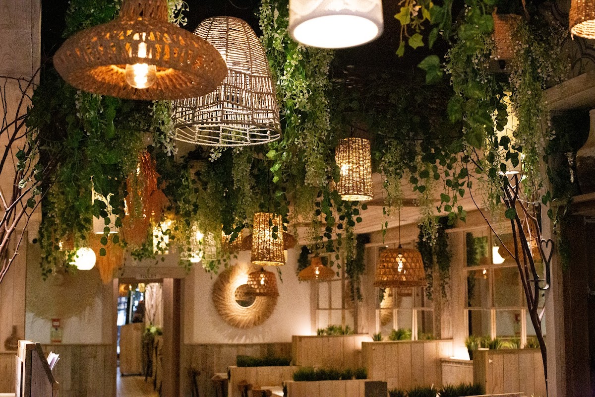 Neighbourhood Google photo 3