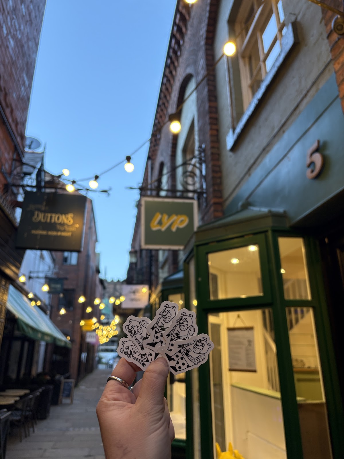 Little Yellow Pig Chester Google photo 3