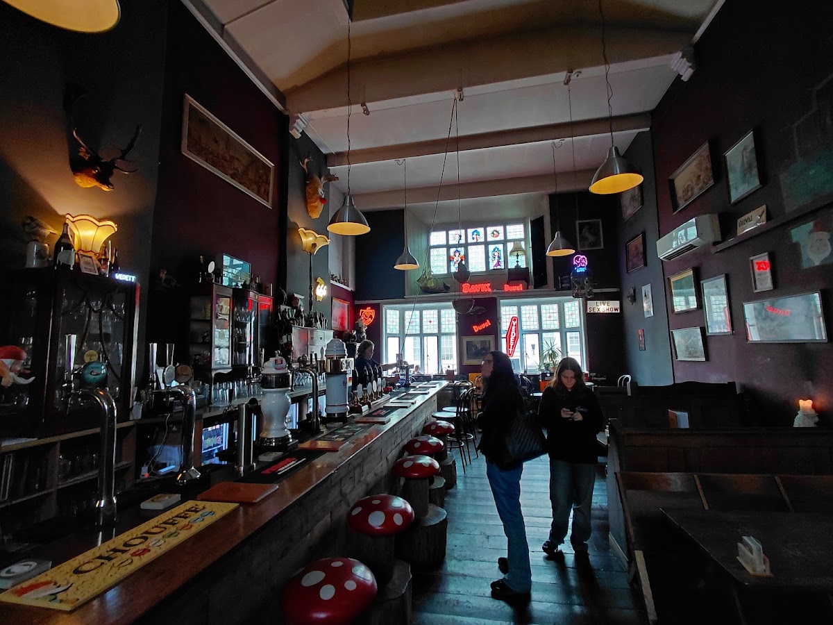 The Cavern of the Curious Gnome Google photo 3