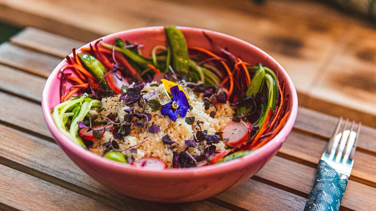 Shrub Google photo 2