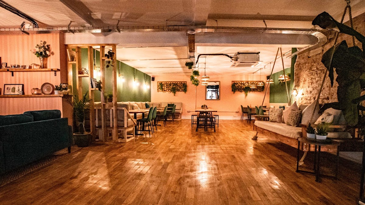 Shrub Google photo 1